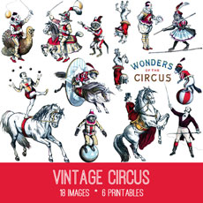 Circus archives the.