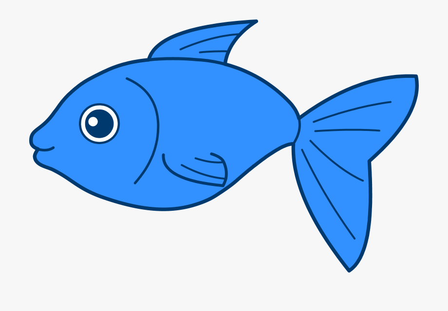 Blue fish clip.