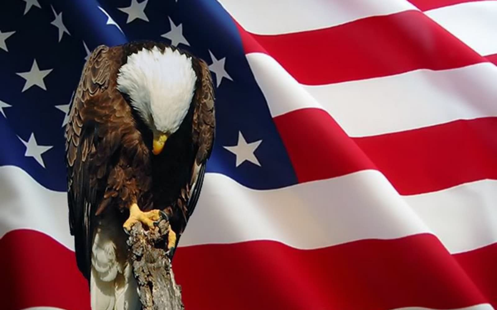 Free clipart american flag with eagle we support our