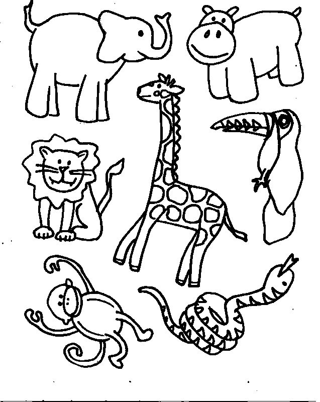 Free Color In Animals, Download Free Clip Art, Free Clip Art
