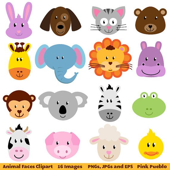 Animal clipart color.