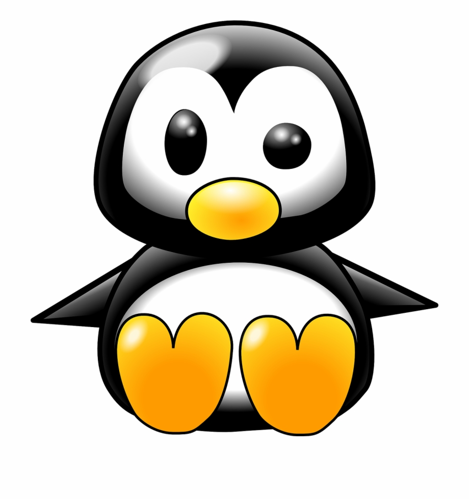 Penguin penguin chick.