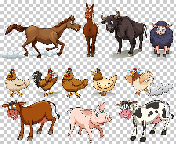 Cattle Chicken Sheep Domestic pig Horse, Farm animals