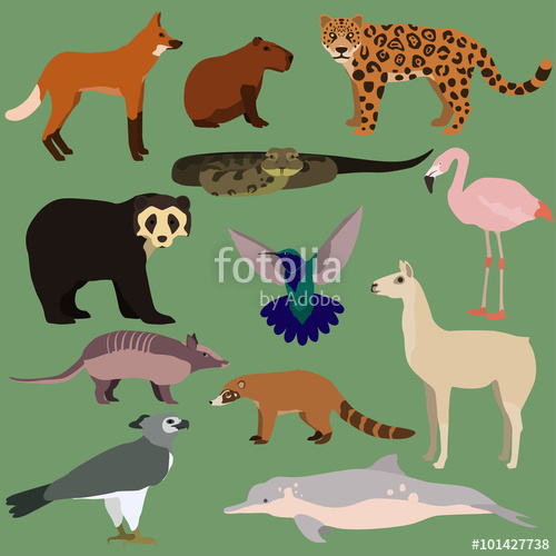 Vector set of cartoon south american animals