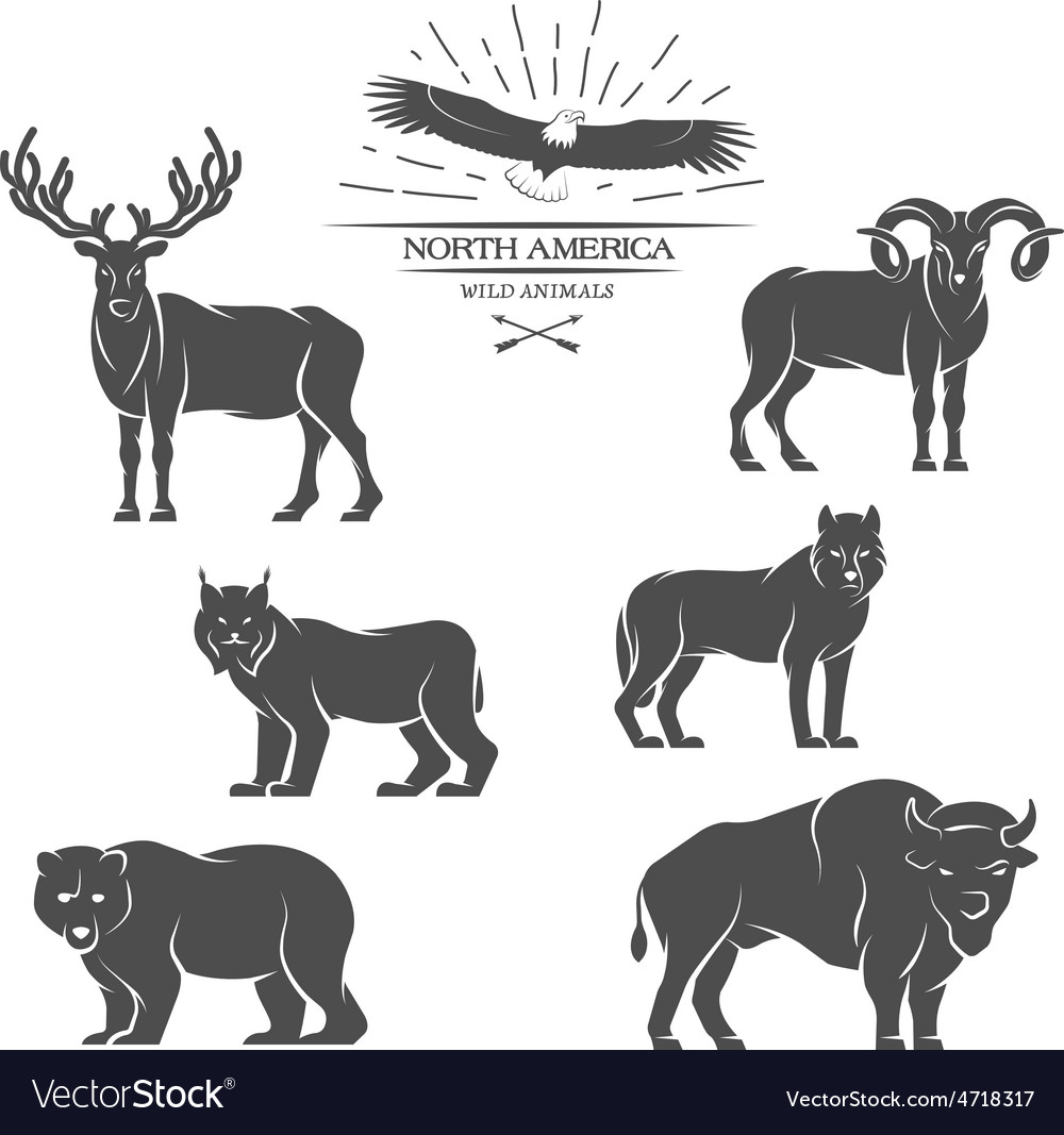 Large animals in North America