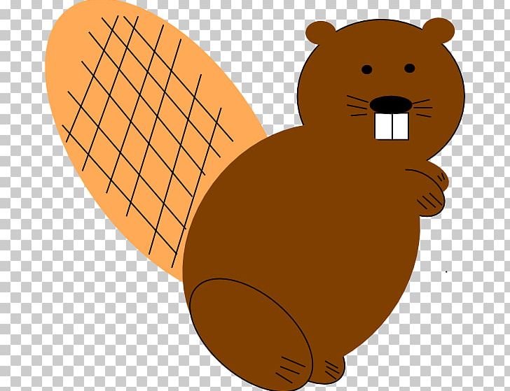 North American Beaver PNG, Clipart, Animals, Art, Bear