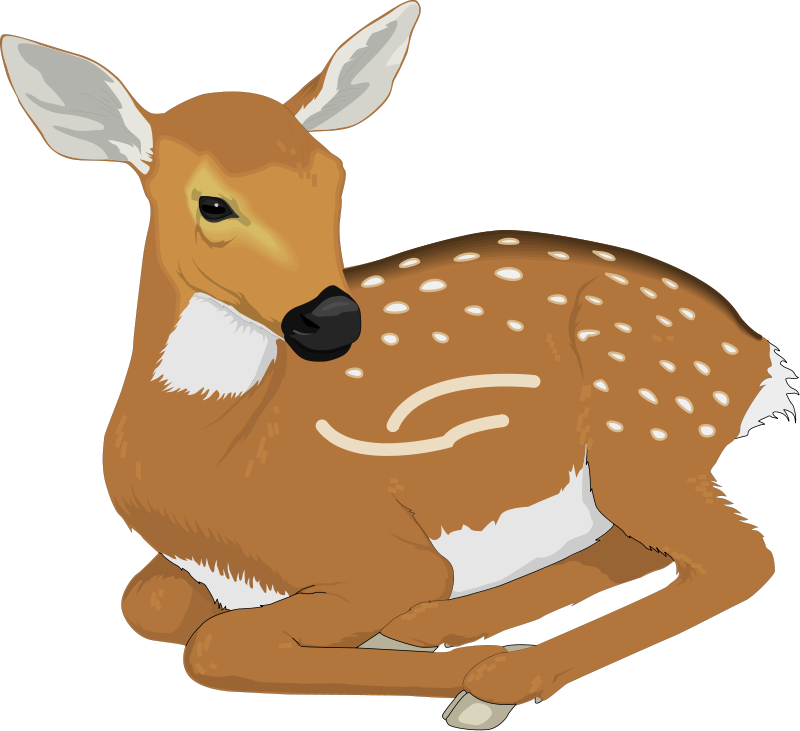 Free Transparent Animal Cliparts, Download Free Clip Art