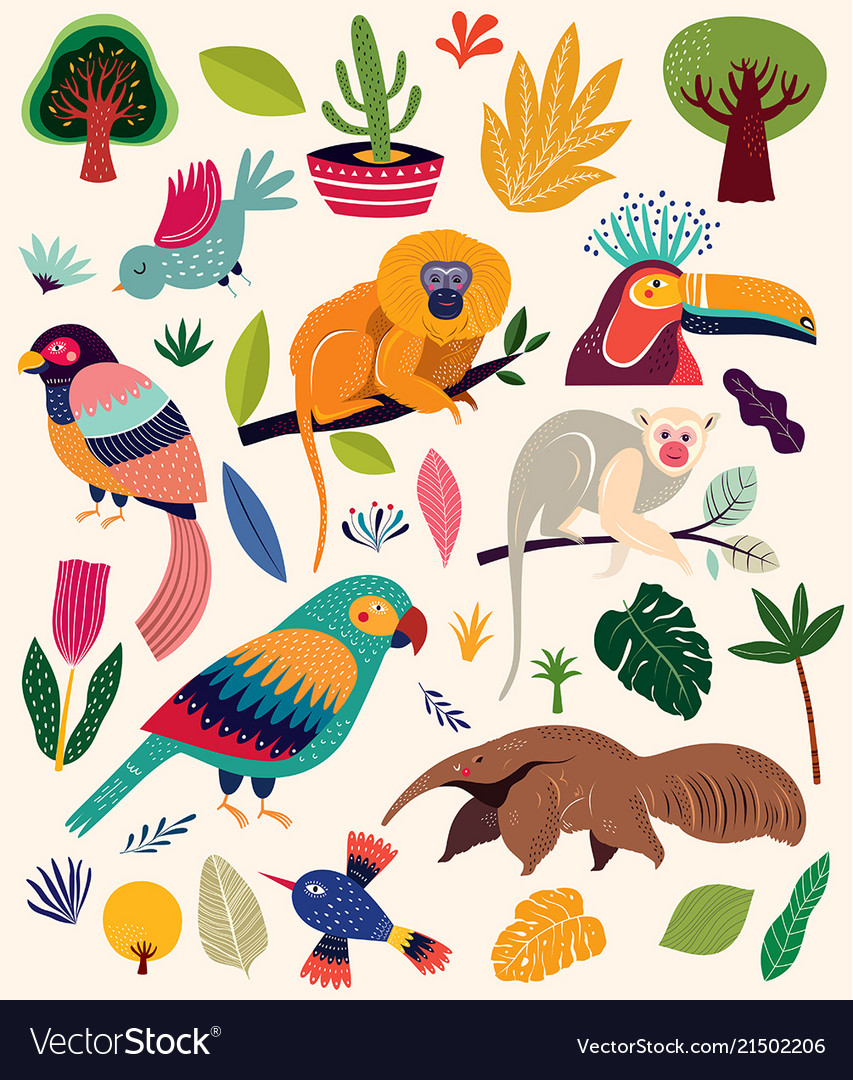 Collection with tropical animals
