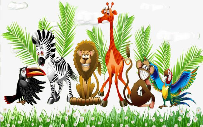 Animals tropical rainforests.