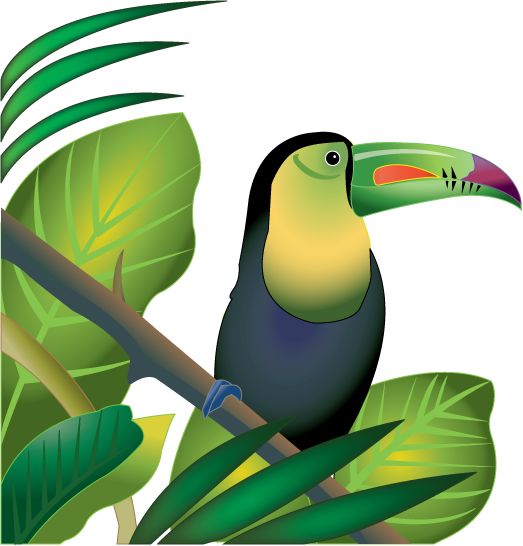Free Rainforest Animals Clipart, Download Free Clip Art