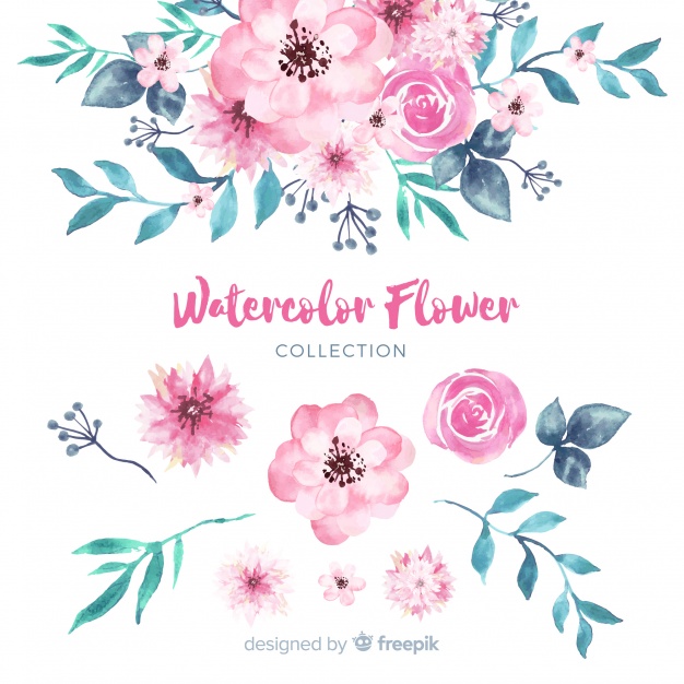 Lovely watercolor flowers collection Vector