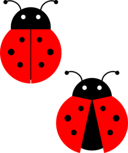 Cute ladybug drawings free clipart images
