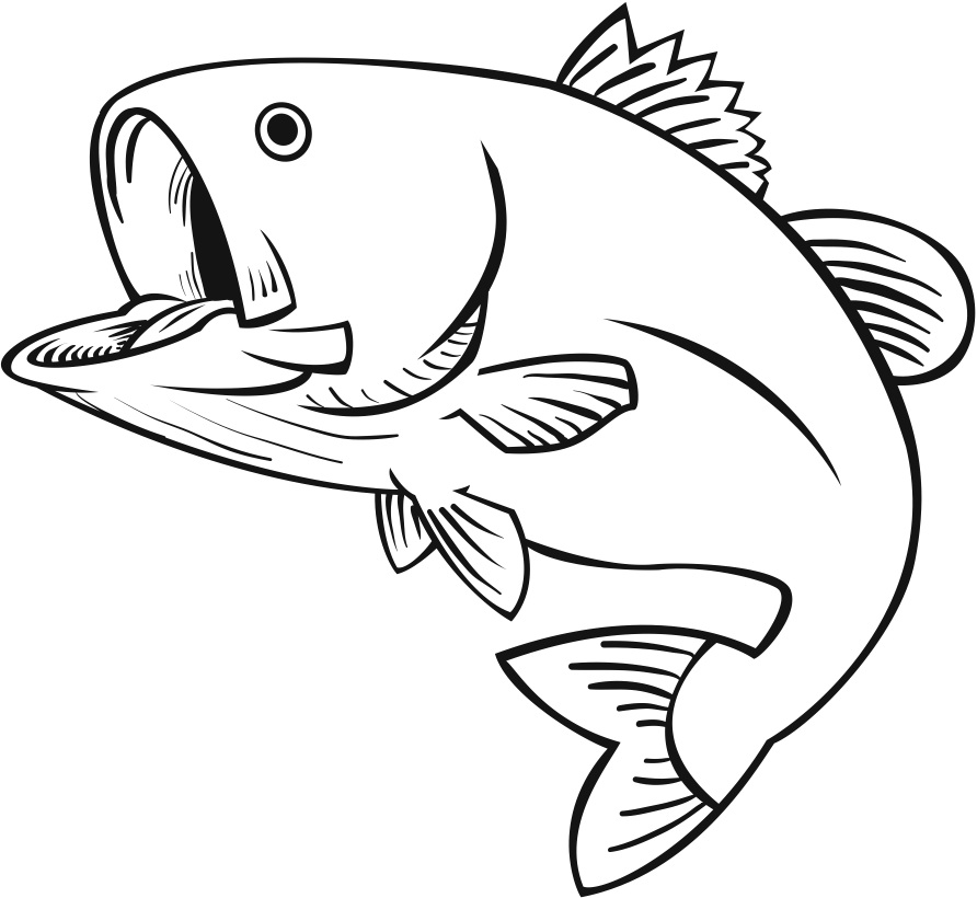 Free fish drawing.