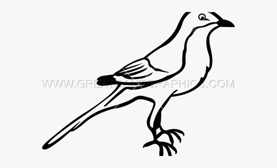Drawn mockingbird clip.