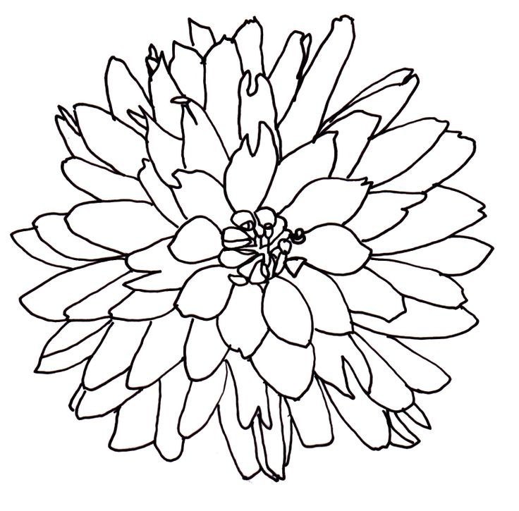 Line Drawing Of A Flower