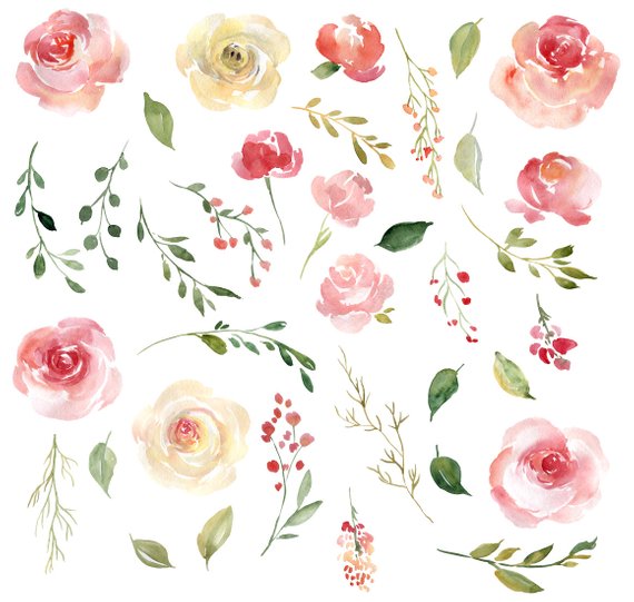 Blush Watercolor Floral Clipart Free Commercial Use Pink
