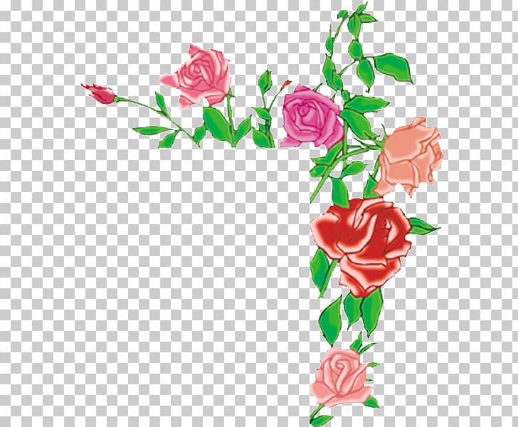 Flower , Flower Photoshop Background , pink, beige, and red