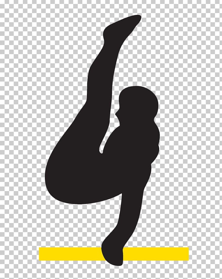 Aerobic gymnastics physical.