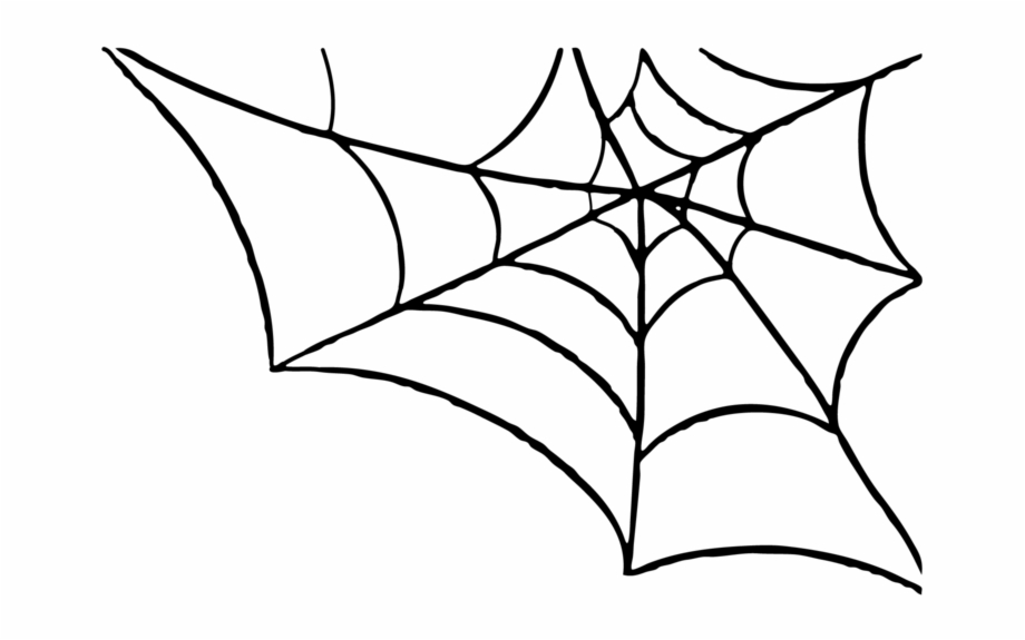 Download Free Png Spider