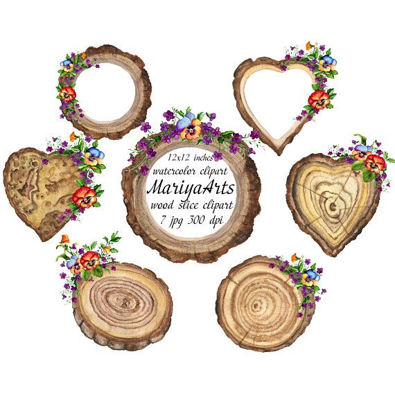 Wooden slices clipart.