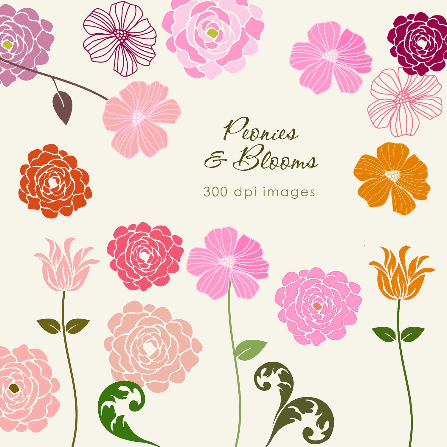 Free Peonies Cliparts, Download Free Clip Art, Free Clip Art