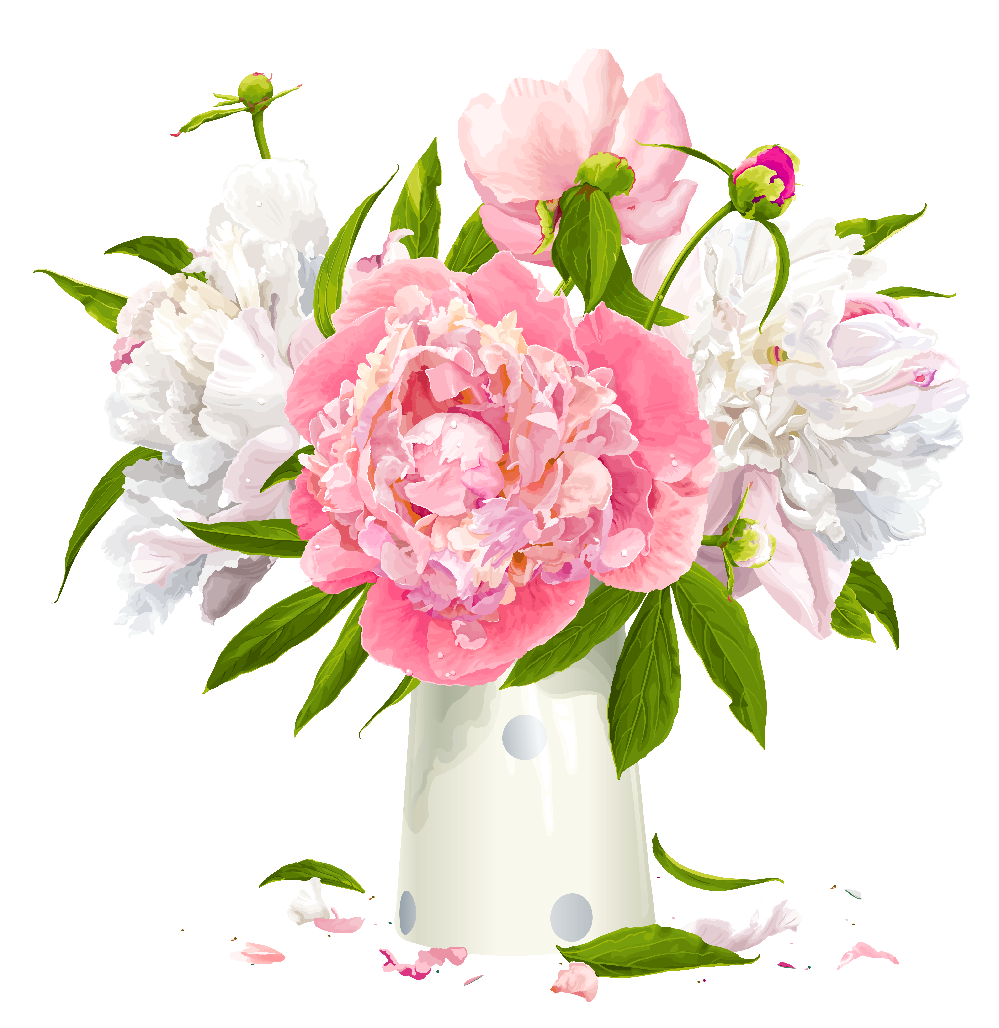 Free Peony Cliparts, Download Free Clip Art, Free Clip Art