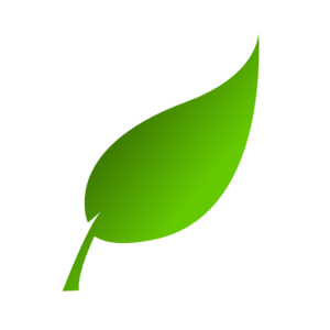 Green leaf clip.