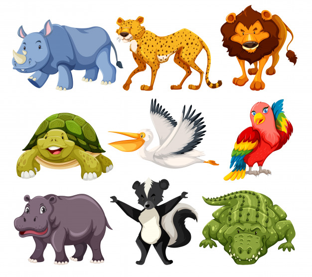Set of animals pack Vector