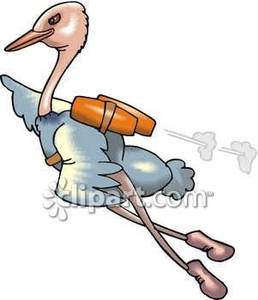 Ostrich Flying With A Jet Pack