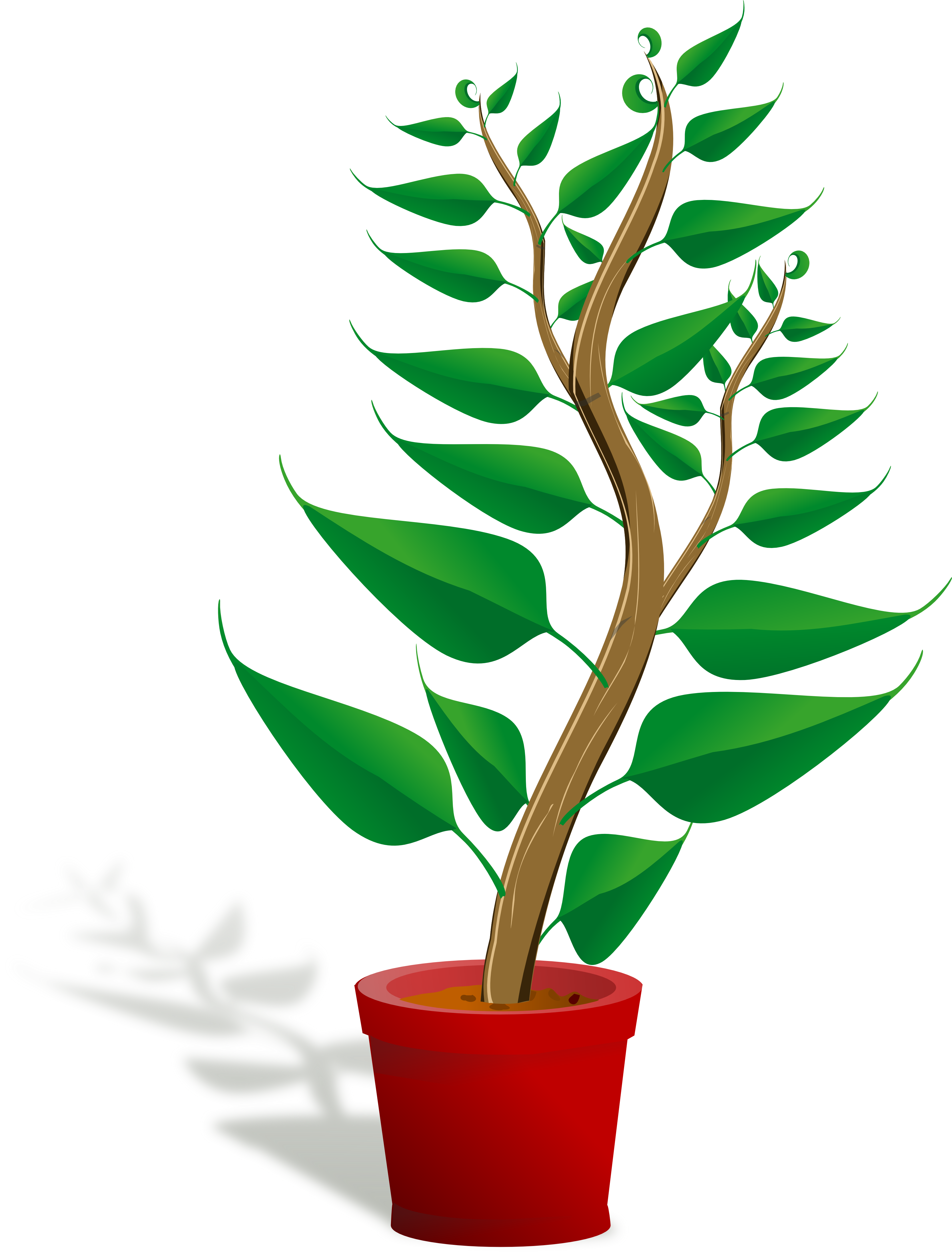 Plant images free clipart images gallery for free download