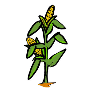 Free Maize Cliparts, Download Free Clip Art, Free Clip Art
