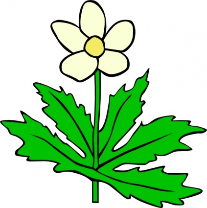 Free Science Flower Cliparts, Download Free Clip Art, Free