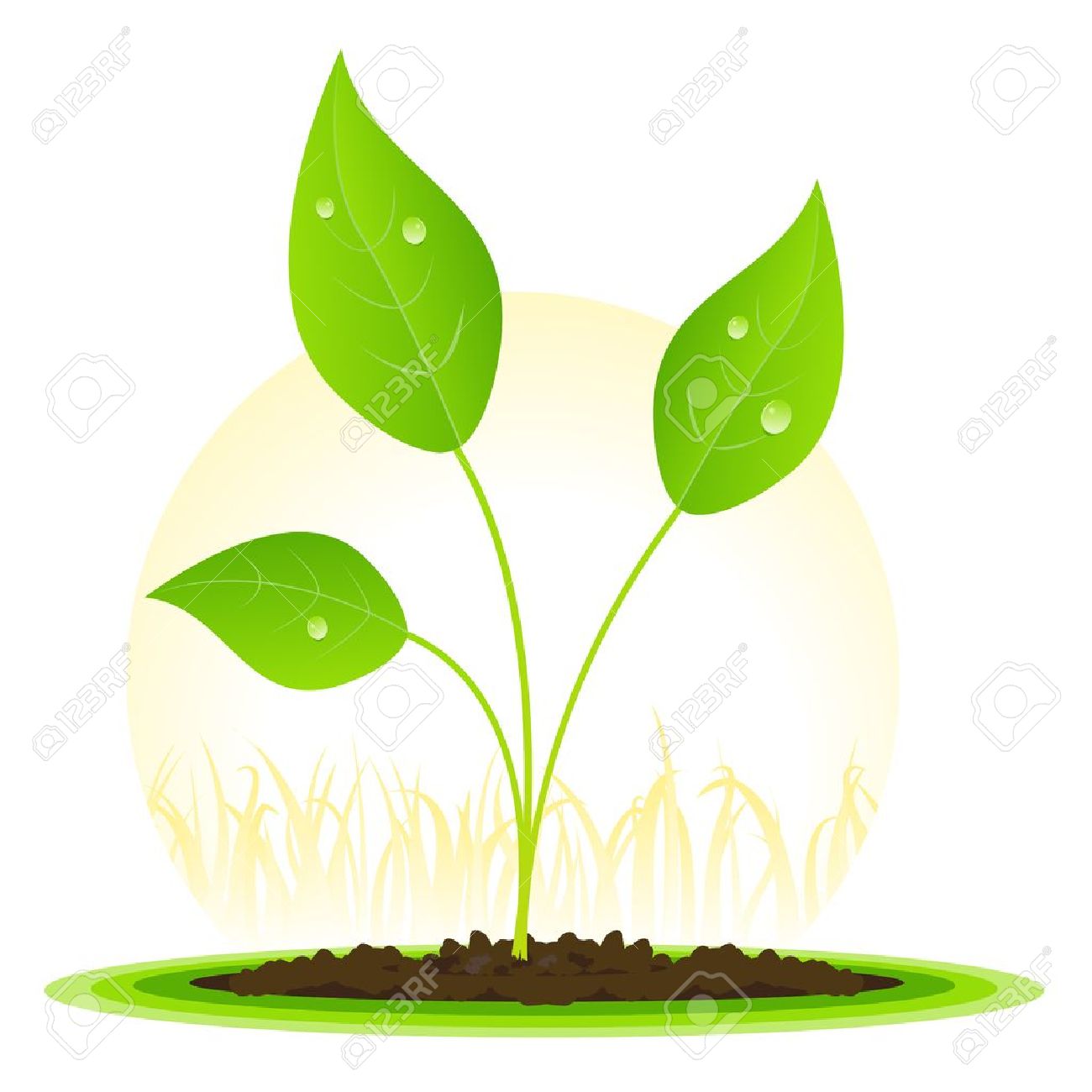 Growing Plant Clipart