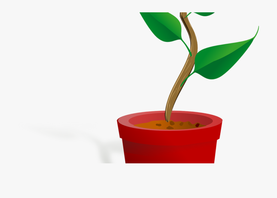 Growth clipart tree.