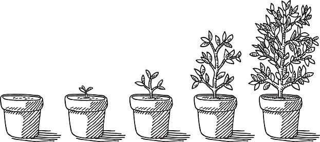 Flower growing clipart.