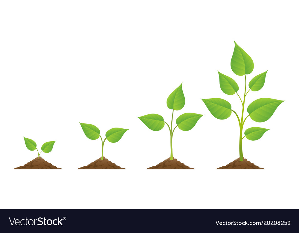 free clipart plants plant growth
