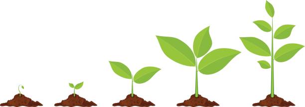 Plant growth gif clipart images gallery for free download