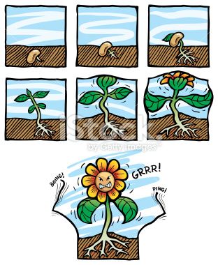 Illustration the plant.