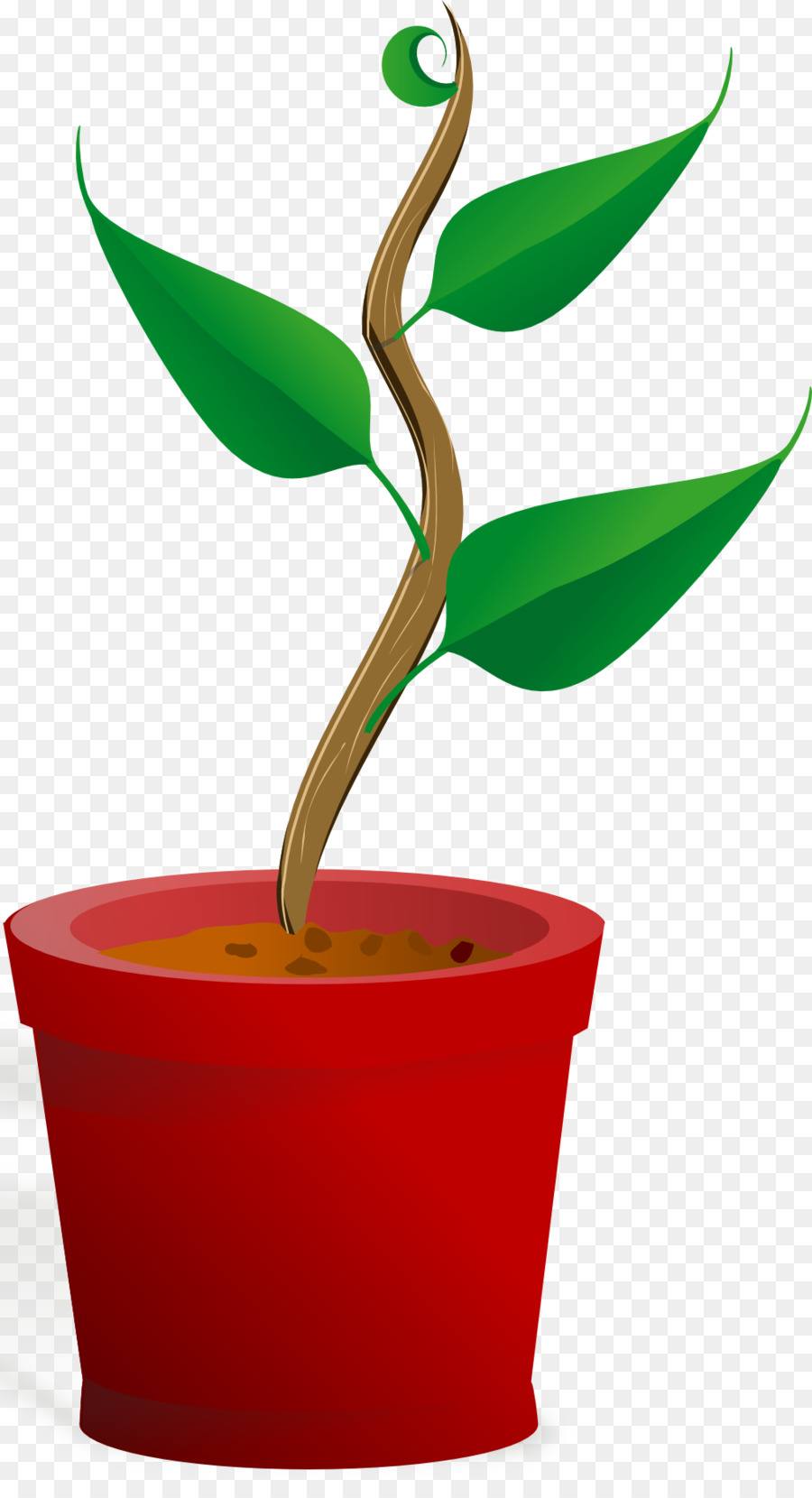 Tree Root png download