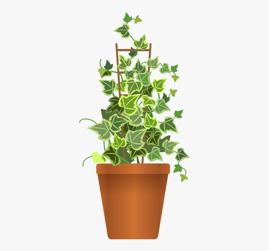 House clipart ivy.