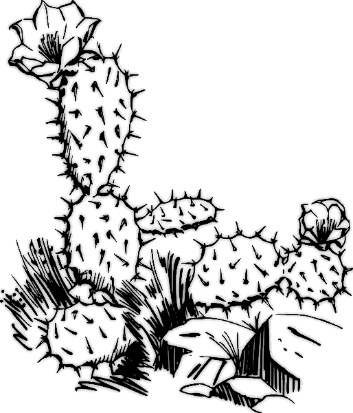 Free cactus clipart public domain plant clip art images and