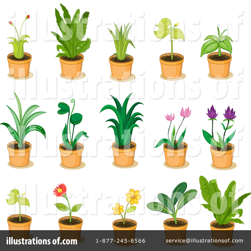 Plants Clipart