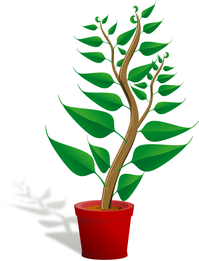 Free Free Plant Clipart, Download Free Clip Art, Free Clip