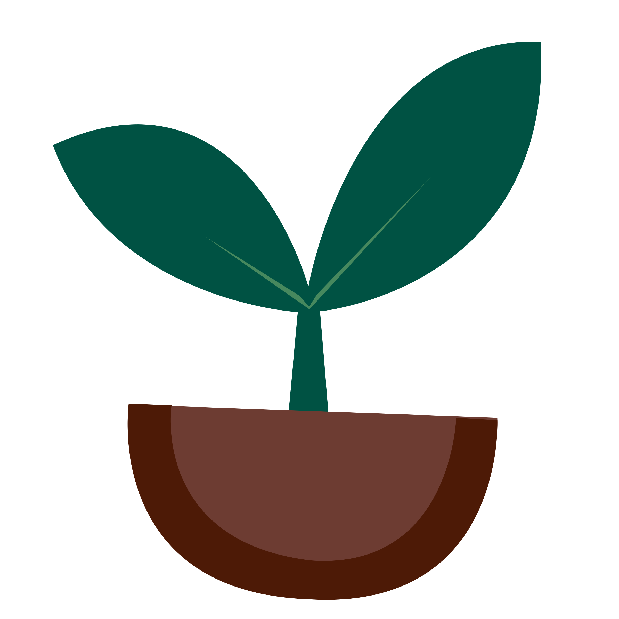 Growing plant clipart.