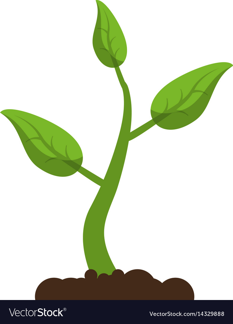 Embed this image in your blog or website. clipart. free clipart plants spro...