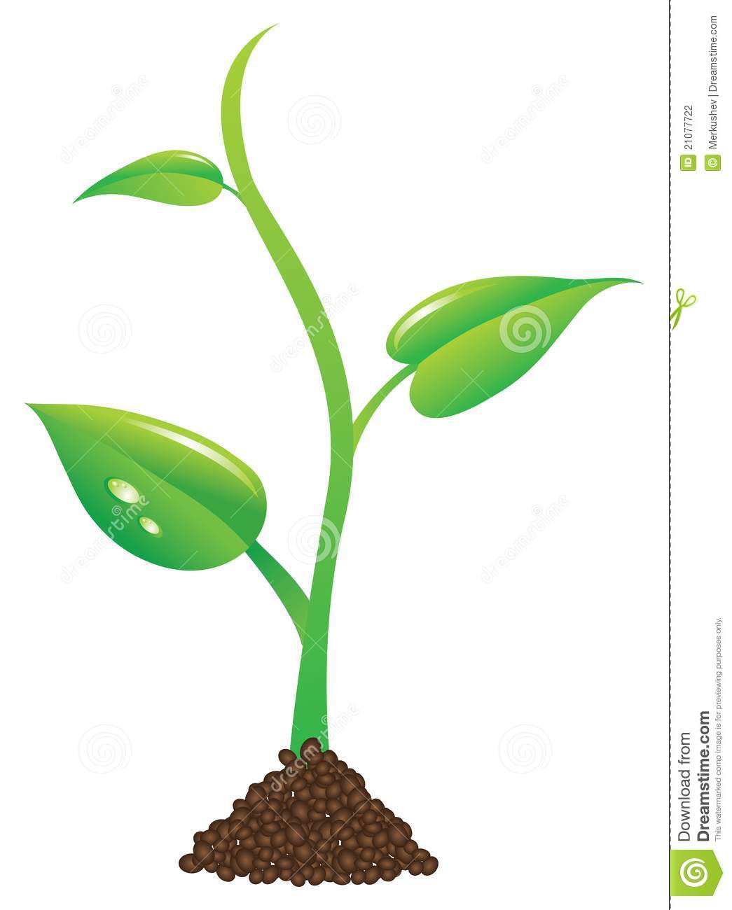 Seedling clipart free.