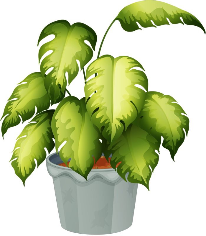 Free clipart plants transparent background pictures on Cliparts Pub 2020! 🔝