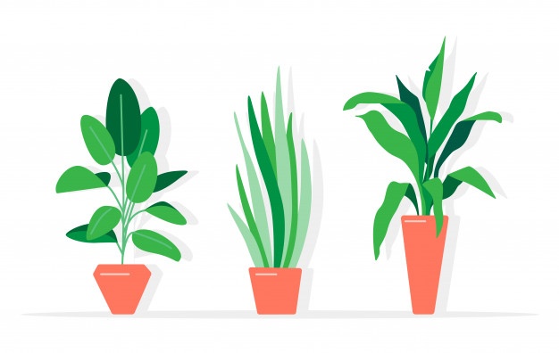 free clipart plants vector