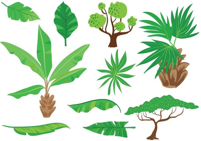 Free Exotic Vegetation Vectors