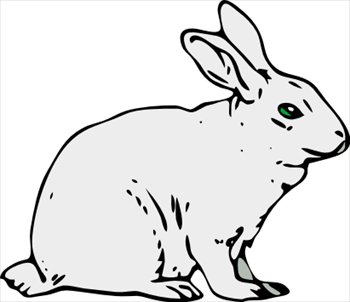 Free rabbit images.